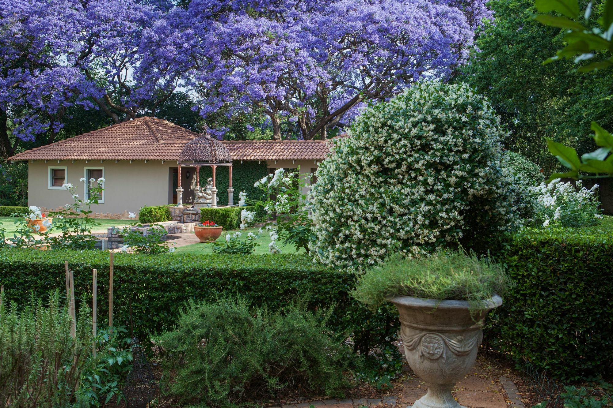 Bed and Breakfast 58 On Hume Johannesburgo Exterior foto